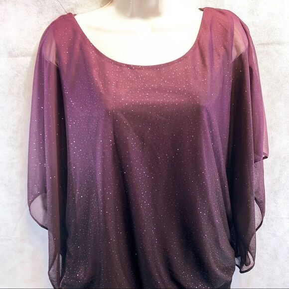 Shimmering Sheer Top w/ Lining Sz M - Picture 3 of 8